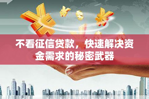 双牌不看征信贷款，快速解决资金需求的秘密武器
