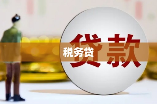 双牌税务贷
