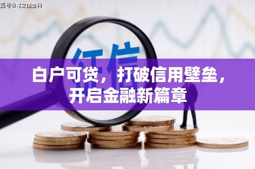 双牌白户可贷，打破信用壁垒，开启金融新篇章