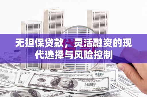 双牌无担保贷款，灵活融资的现代选择与风险控制