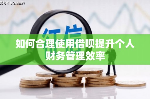 双牌如何合理使用借呗提升个人财务管理效率