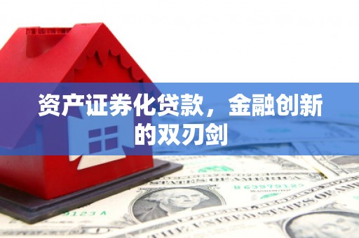 双牌资产证券化贷款，金融创新的双刃剑