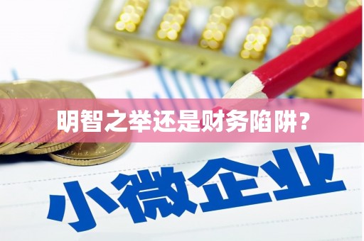双牌明智之举还是财务陷阱？