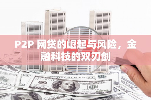 双牌P2P 网贷的崛起与风险，金融科技的双刃剑