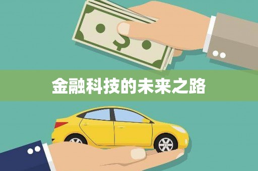双牌金融科技的未来之路