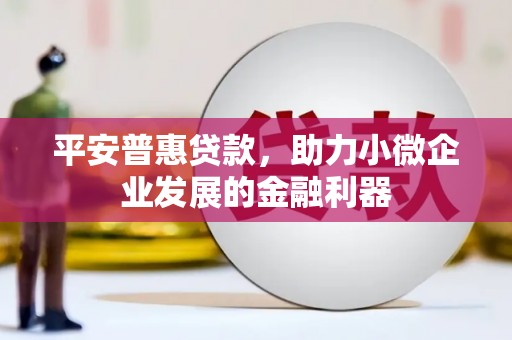 双牌平安普惠贷款，助力小微企业发展的金融利器