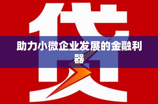 双牌助力小微企业发展的金融利器