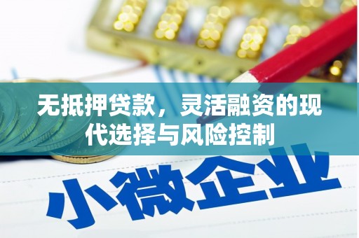 双牌无抵押贷款，灵活融资的现代选择与风险控制