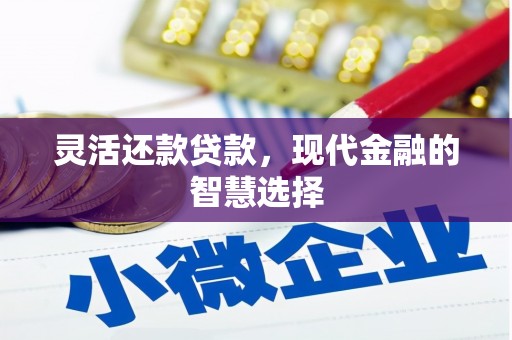 双牌灵活还款贷款，现代金融的智慧选择