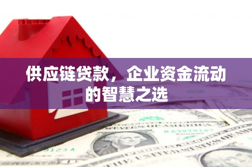 双牌供应链贷款，企业资金流动的智慧之选