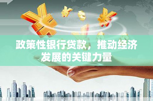 双牌政策性银行贷款，推动经济发展的关键力量