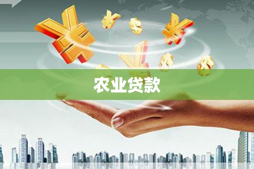 双牌农业贷款