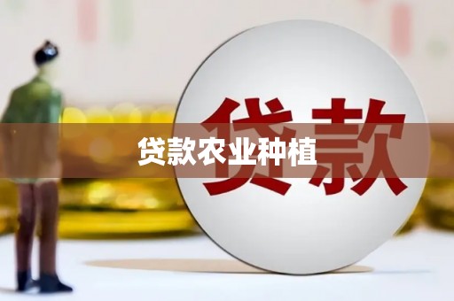双牌贷款农业种植