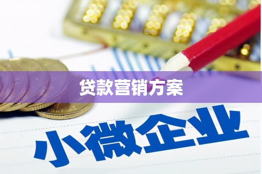 双牌贷款营销方案