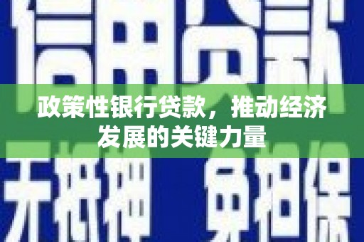 双牌政策性银行贷款，推动经济发展的关键力量