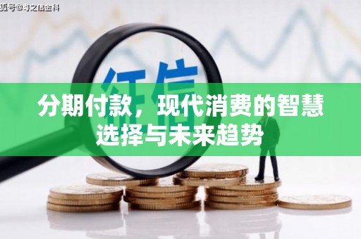双牌分期付款，现代消费的智慧选择与未来趋势