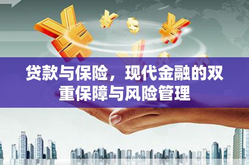 双牌贷款与保险，现代金融的双重保障与风险管理