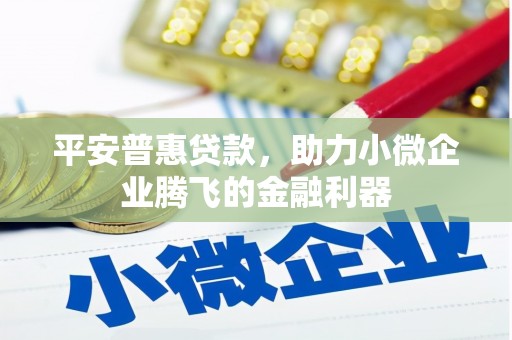 双牌平安普惠贷款，助力小微企业腾飞的金融利器