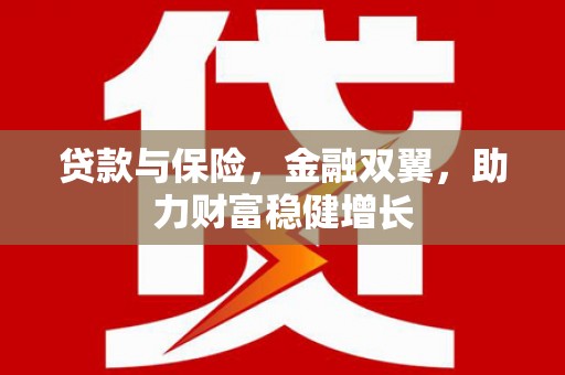 双牌贷款与保险，金融双翼，助力财富稳健增长
