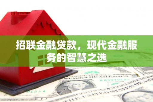 双牌招联金融贷款，现代金融服务的智慧之选