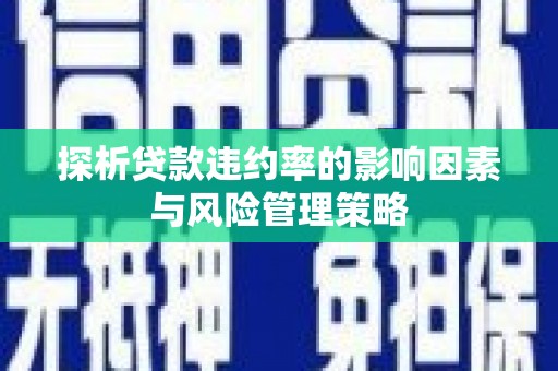 双牌探析贷款违约率的影响因素与风险管理策略