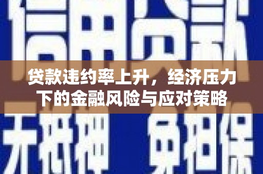 双牌贷款违约率上升，经济压力下的金融风险与应对策略