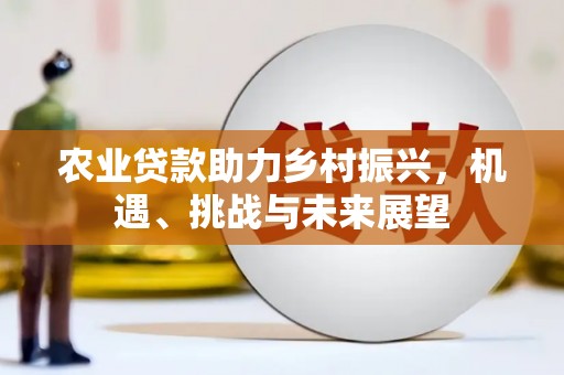 双牌农业贷款助力乡村振兴，机遇、挑战与未来展望