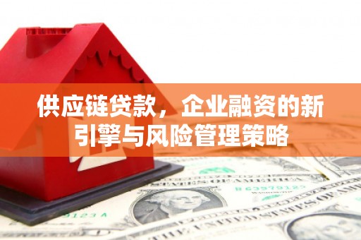 双牌供应链贷款，企业融资的新引擎与风险管理策略