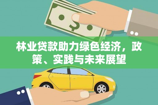 双牌林业贷款助力绿色经济，政策、实践与未来展望