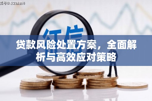双牌贷款风险处置方案，全面解析与高效应对策略