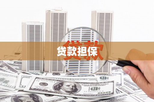 双牌贷款担保