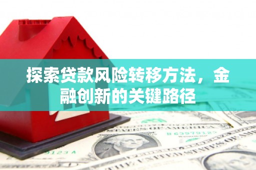 双牌探索贷款风险转移方法，金融创新的关键路径