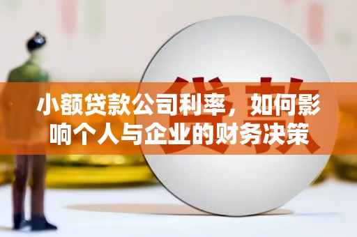 双牌小额贷款公司利率，如何影响个人与企业的财务决策
