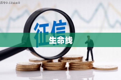 双牌生命线