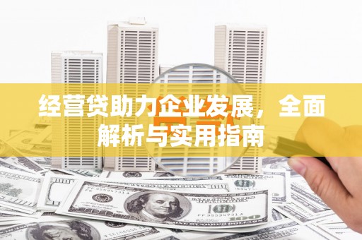 双牌经营贷助力企业发展，全面解析与实用指南