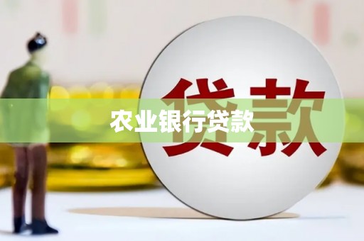 双牌农业银行贷款