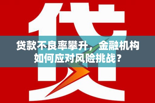 双牌贷款不良率攀升，金融机构如何应对风险挑战？