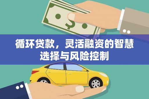 双牌循环贷款，灵活融资的智慧选择与风险控制