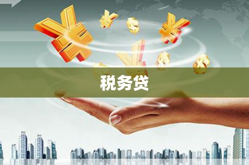 双牌税务贷