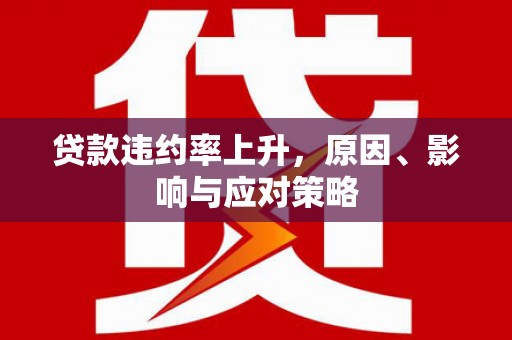 双牌贷款违约率上升，原因、影响与应对策略
