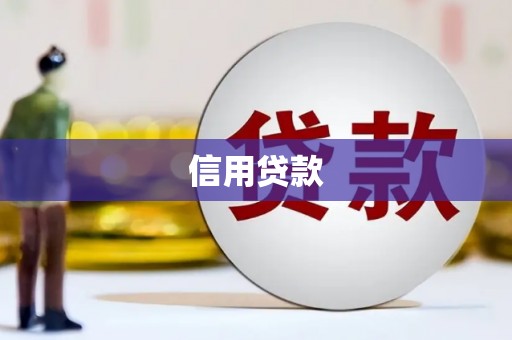 双牌信用贷款