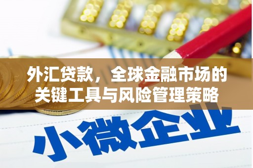 双牌外汇贷款，全球金融市场的关键工具与风险管理策略