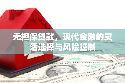 双牌无担保贷款，现代金融的灵活选择与风险控制