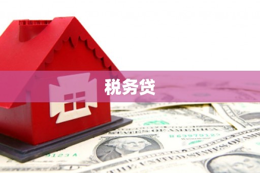 双牌税务贷