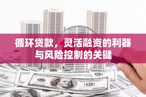 双牌循环贷款，灵活融资的利器与风险控制的关键