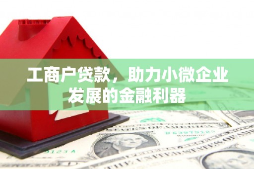 双牌工商户贷款，助力小微企业发展的金融利器