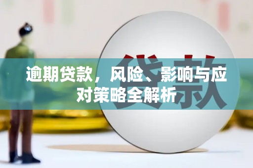 双牌逾期贷款，风险、影响与应对策略全解析