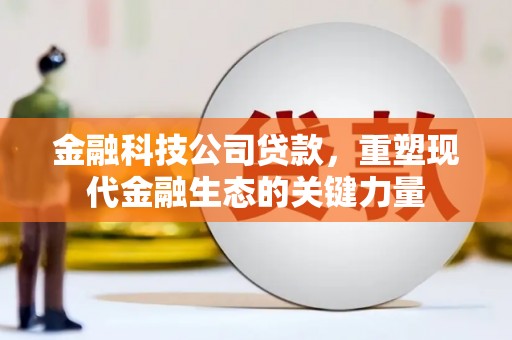 双牌金融科技公司贷款，重塑现代金融生态的关键力量