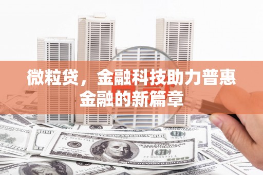 双牌微粒贷，金融科技助力普惠金融的新篇章
