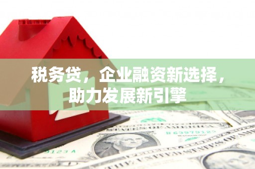 双牌税务贷，企业融资新选择，助力发展新引擎